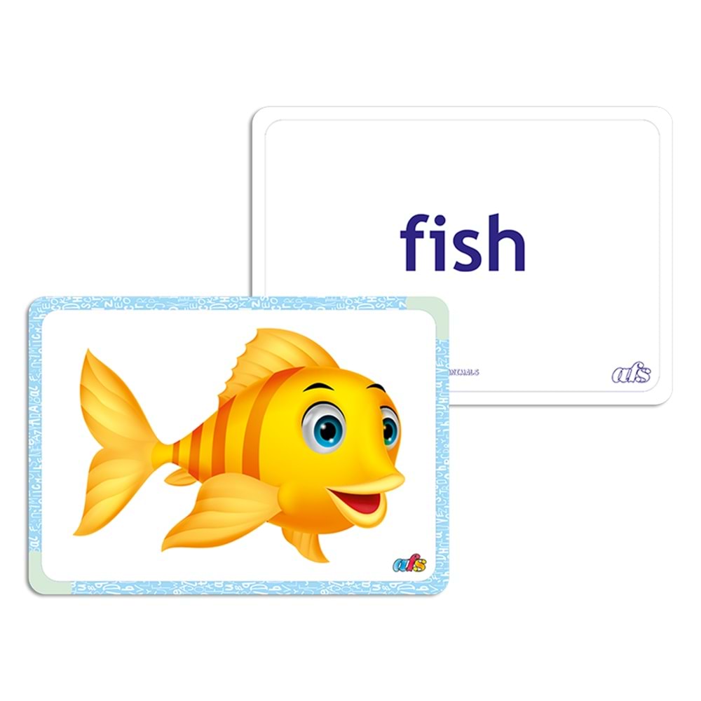 Afs İng. Flash Card Mıknatıslı (2.3.4. Sınıf)