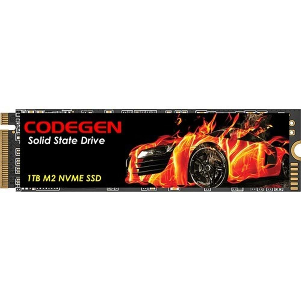 CODEGEN 1TB CDG-1TB-NVME 2100- 1700MB/s M2 PCIe NVMe Gen3 Disk