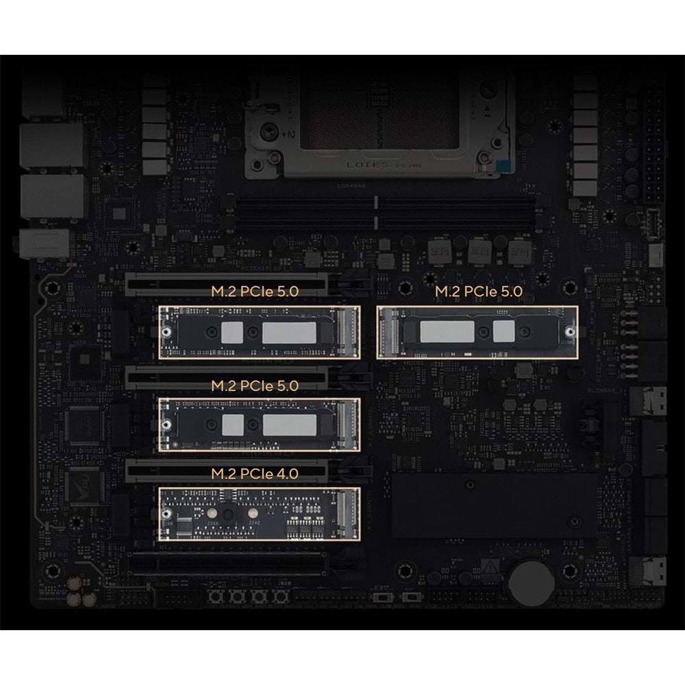 ASUS PRO WS TRX50-SAGE WIFI A AMD DDR5 PCIe 5.0 sTR5 EATX