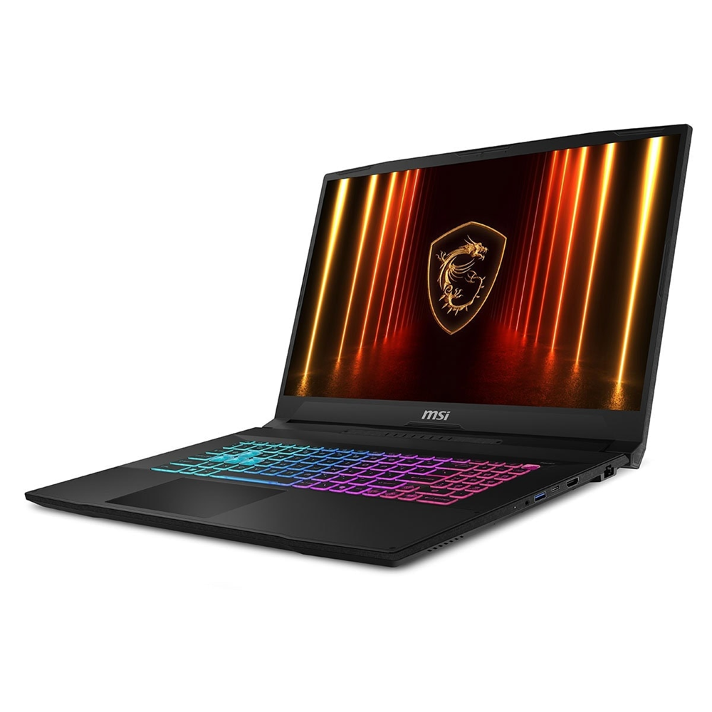 MSI 17.3