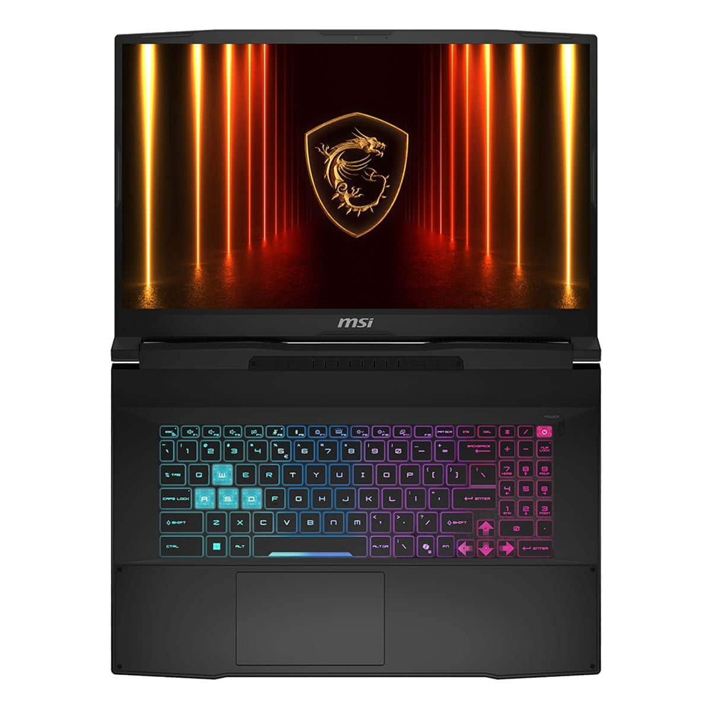 MSI 17.3