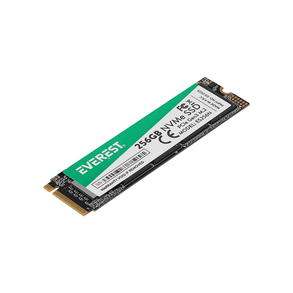 EVEREST ES256N 256GB 3D NAND Flash 2500MB/1800MB PCIe Gen3 NVMe M.2 SSD