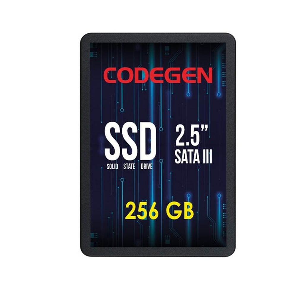 CODEGEN 256GB CDG-256GB-SSD25 560- 500MB/s SSD SATA-3 Disk 