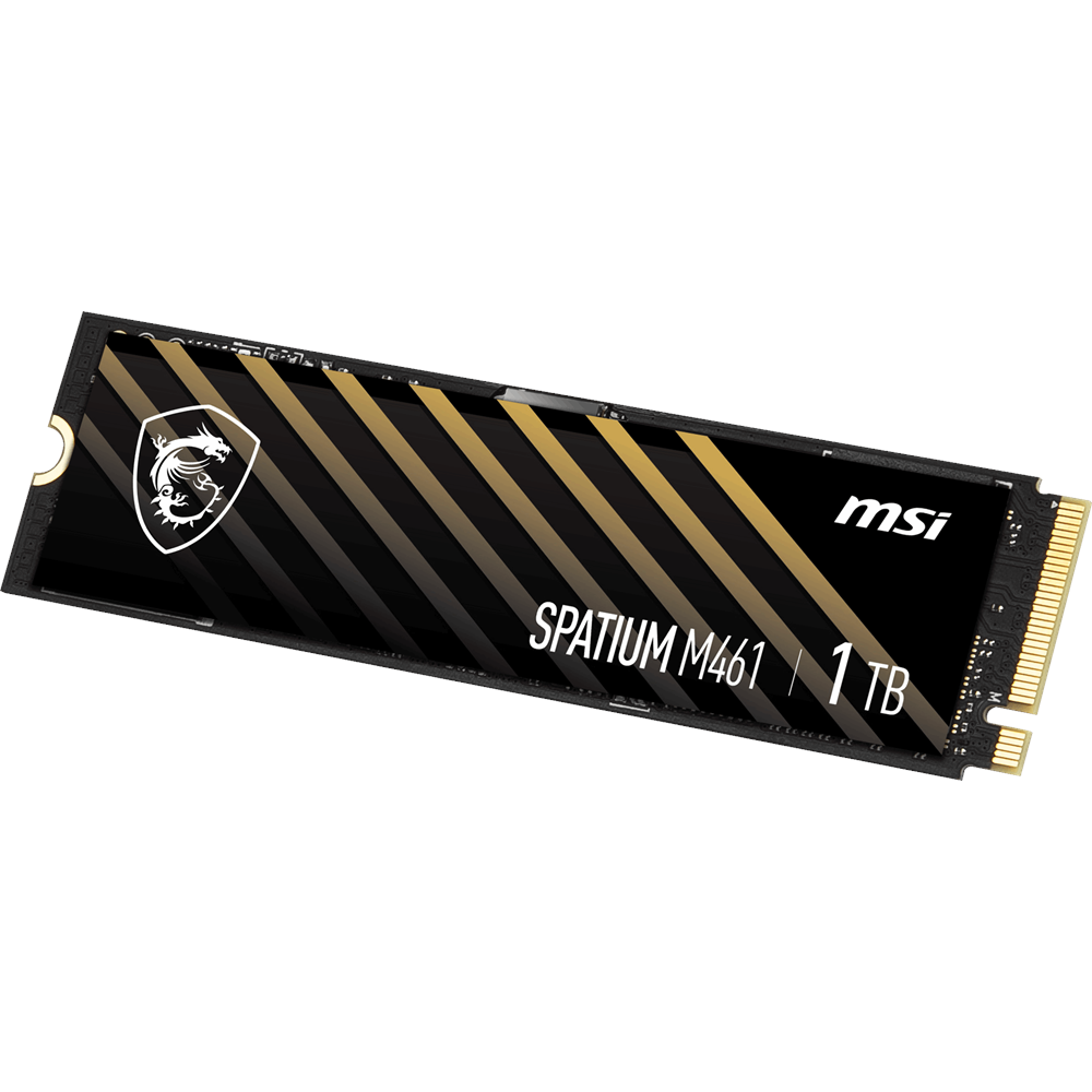MSI 1TB SPATIUM M461 5000-4200MB/s M2 NVME GEN4 Disk