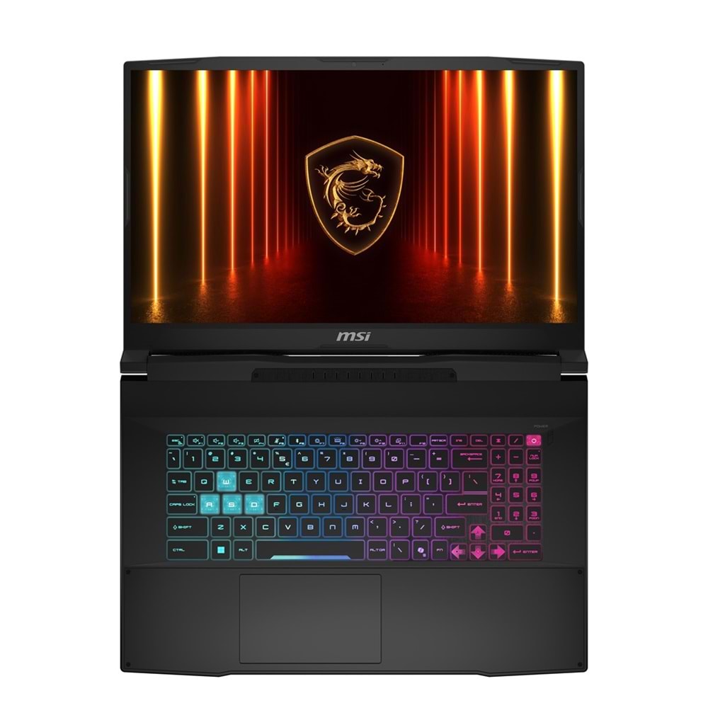 MSI 17.3