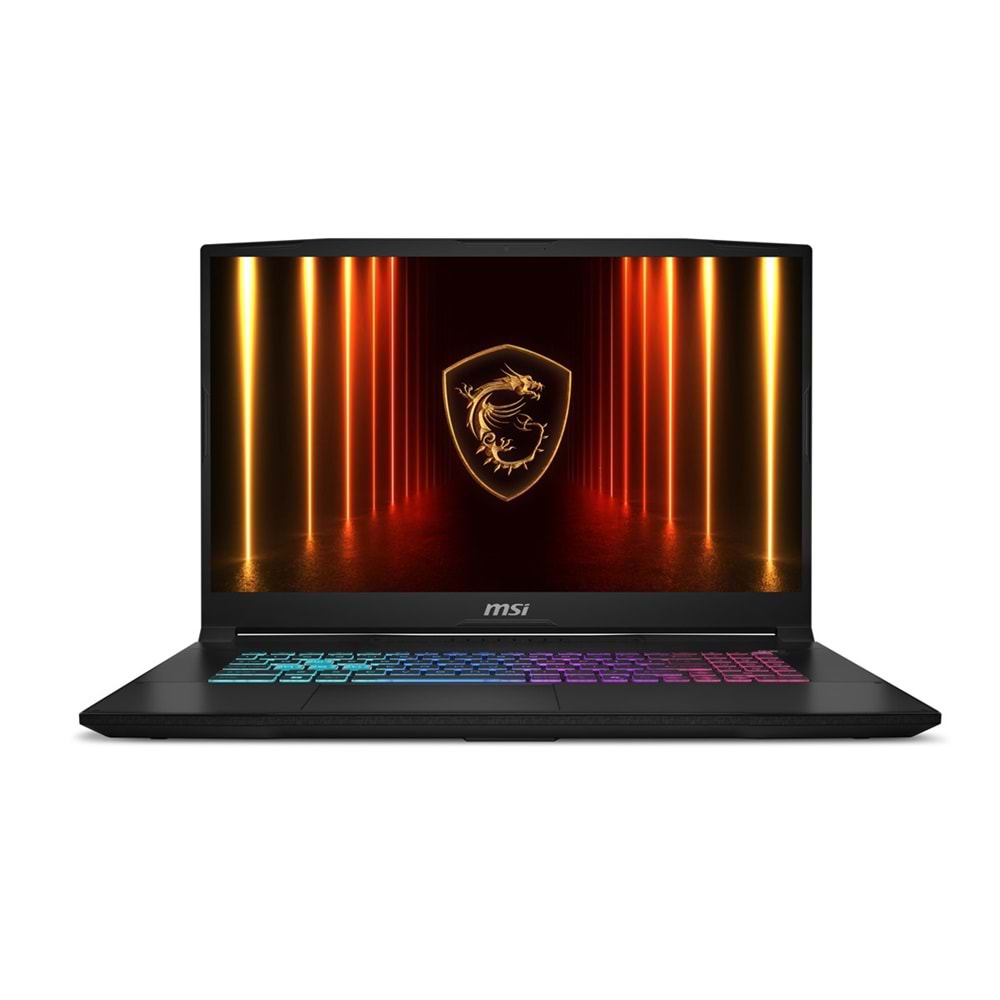MSI 17.3