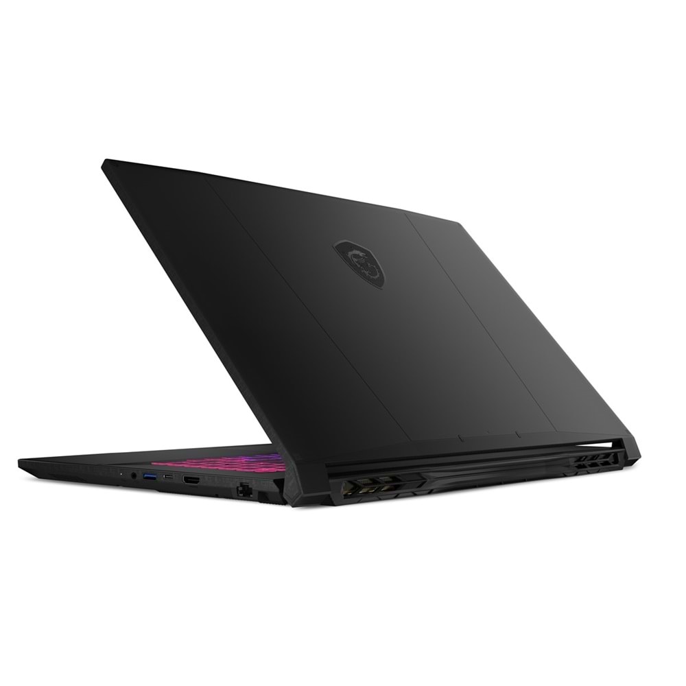 MSI 17.3