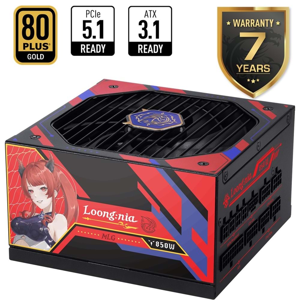 MSI 850w 80+ Gold A850GLS MLG EDITION Tam Modüler Power Suplly