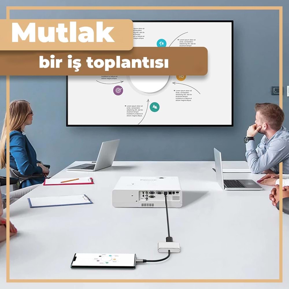 INCA ITPC-04T 0.15metre TYPE-C - HDMI Görüntü Adaptörü Gümüş 100W