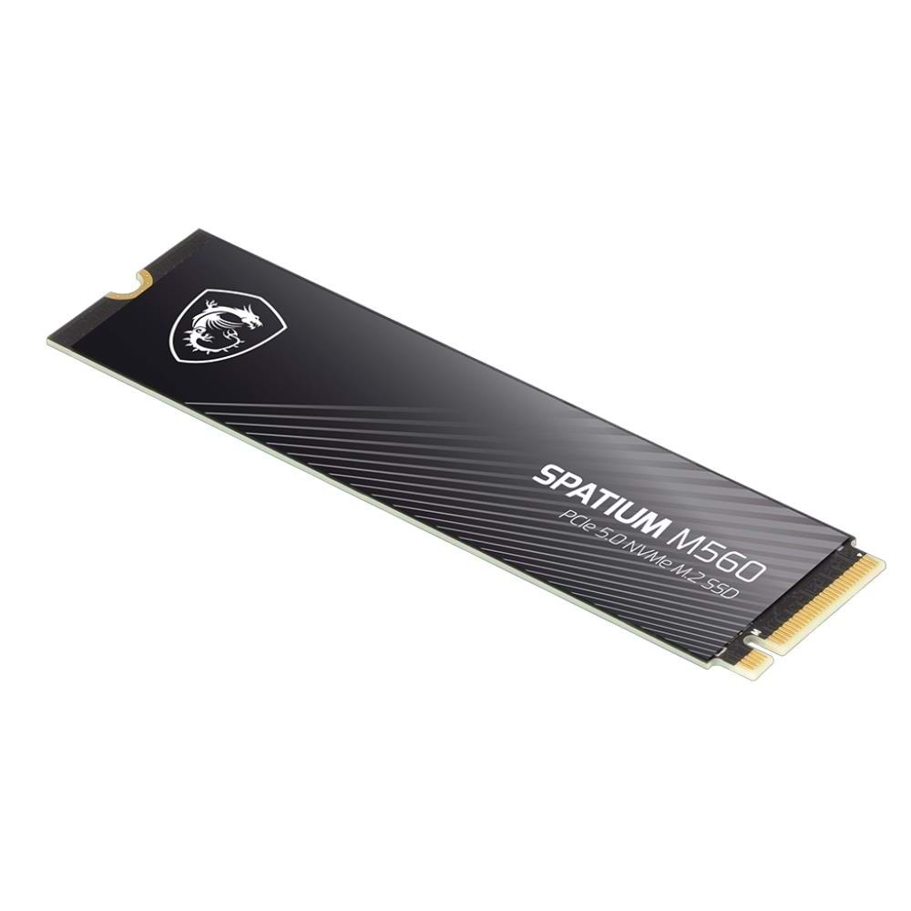 MSI 2TB SPATIUM M560 10300- 8700 MB/s M2 NVME GEN5 DİSK