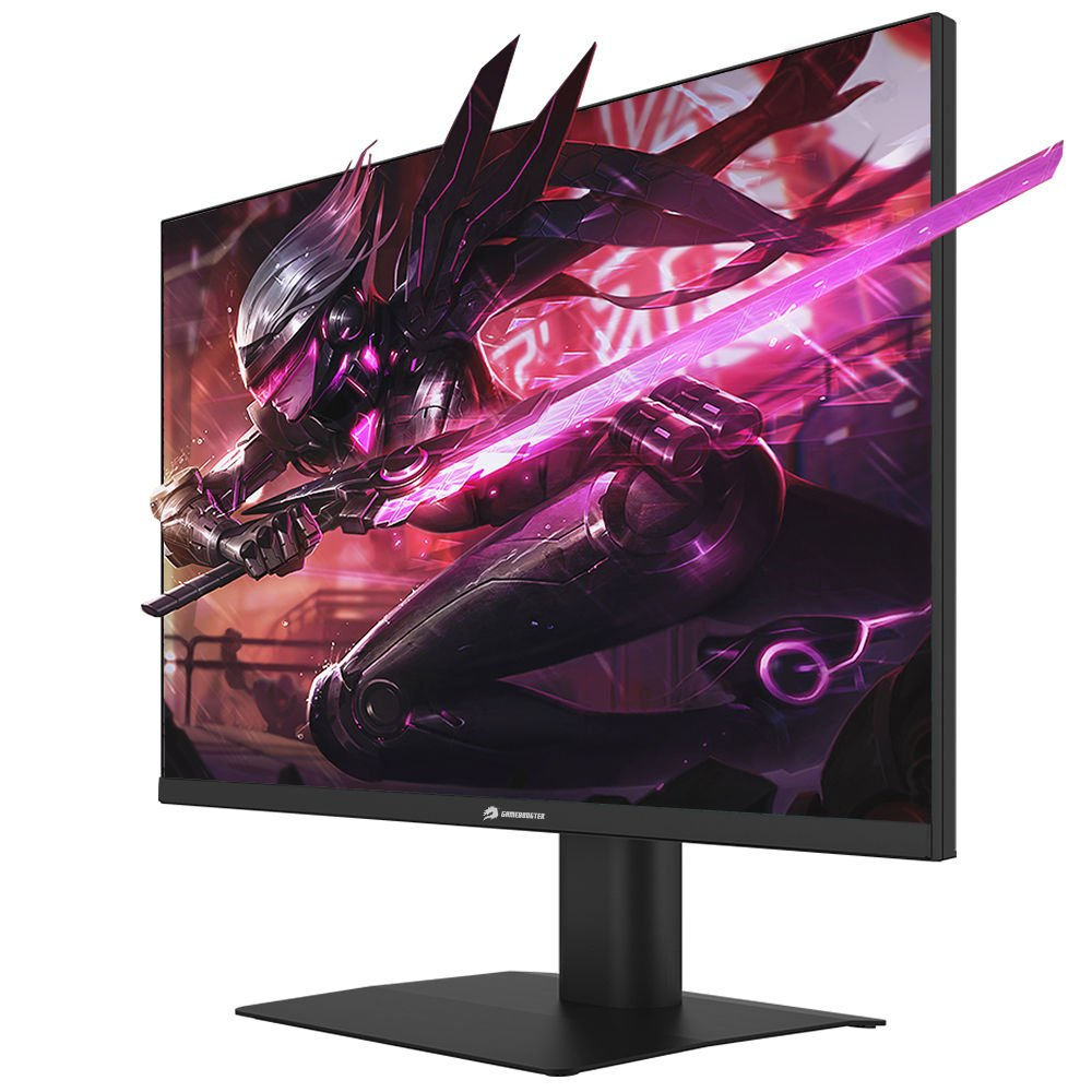 GAMEBOOSTER 23.8