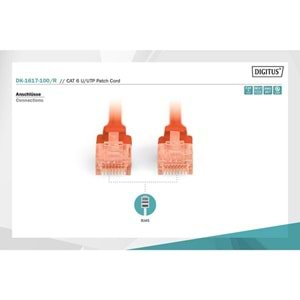 DIGITUS 10m CAT6 Utp DK-1617-100/R Kırmızı Patch Kablo