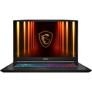 MSI 17.3