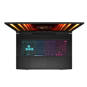 MSI 17.3