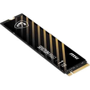 MSI 1TB SPATIUM M461 5000-4200MB/s M2 NVME GEN4 Disk