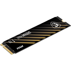 MSI 1TB SPATIUM M461 5000-4200MB/s M2 NVME GEN4 Disk
