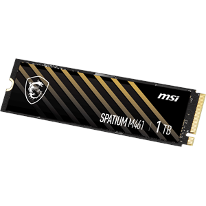 MSI 1TB SPATIUM M461 5000-4200MB/s M2 NVME GEN4 Disk