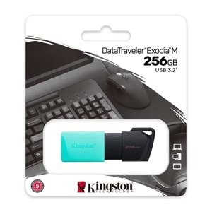 KINGSTON 256gb USB 3.2 Usb Bellek Exodia DTXM/256GB