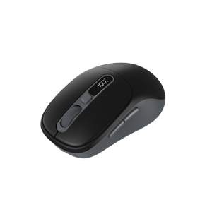 FRISBY FM-296WM Kablosuz Siyah Mouse