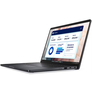 DELL 13.3