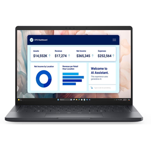 DELL 13.3
