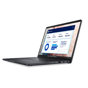 DELL 13.3