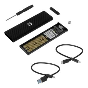 FRISBY FHC-M2305 Type-C USB 3.1 M2 NVMe PCIe SSD Alüminyum Disksiz Harici Disk Kutusu