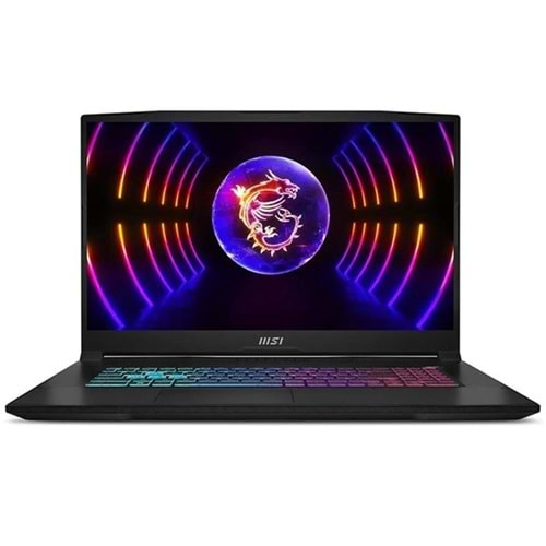 MSI 17.3