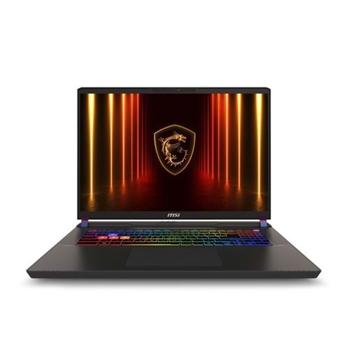 MSI 17