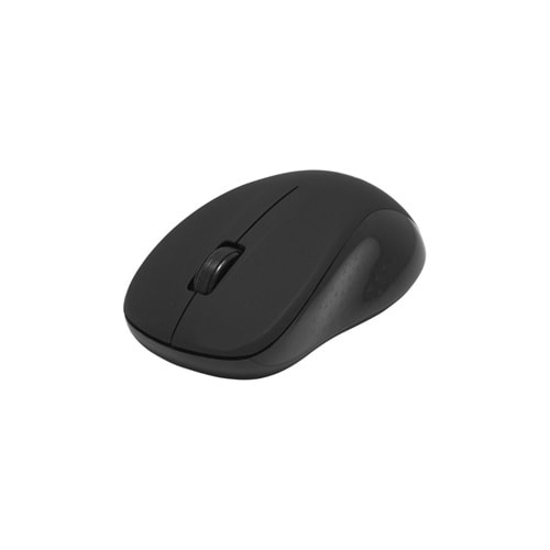 FRISBY FM-264WM/FM-254WM Kablosuz 1000dpi Optic Siyah Mouse