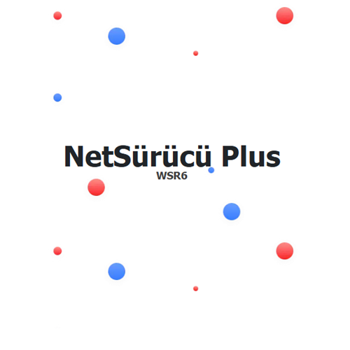 AKINSOFT NetSürücü Plus WSR6 Professional Lisans
