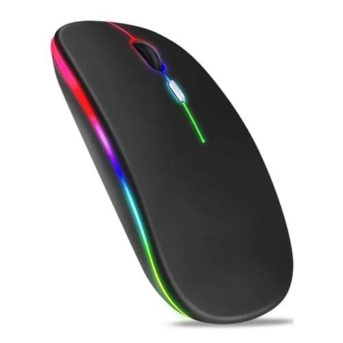 RAYNOX RX-M208 ŞARJLI RGB KABLOSUZ MOUSE - SİYAH