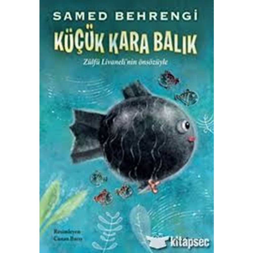 Doğan Çocuk/Küçük Kara Balık