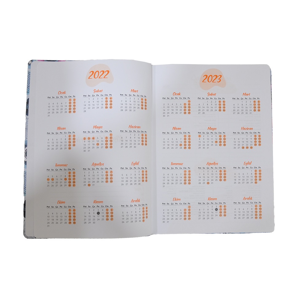 Lizy 17x24 Akademik Ajanda 2023 Eylül-2024 Aralık- Mor Papatyalar