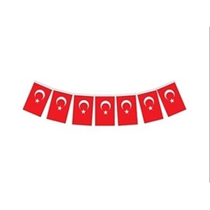 Vatan Bayrak İpli Orta Boy 13*8 Cm 40'lı