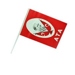 KÜÇÜK ÇITALI BAYRAK ATA