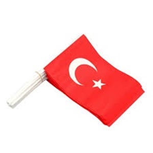 KÜÇÜK ÇITALI BAYRAK TÜRK