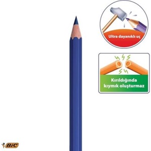 Bic Evolution Kuru Boya Kalemi 24+1 li Metal Tüp
