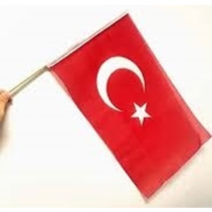 9 EYLÜL SOPALI ALPAKA BEZ BAYRAK 20X30