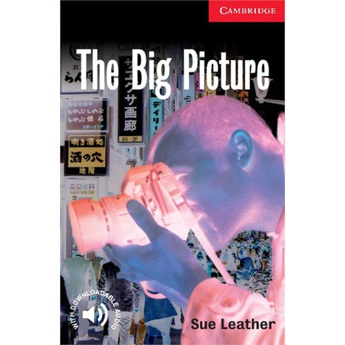 The Big Picture Level 1