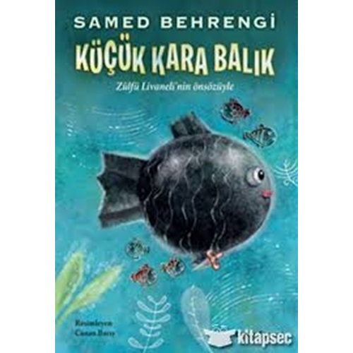Doğan Çocuk/Küçük Kara Balık