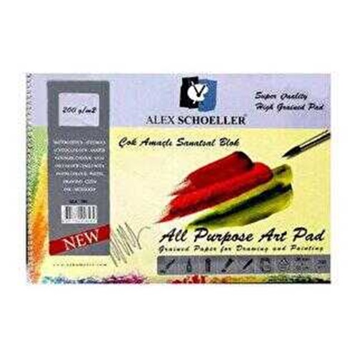 Alex Schoeller 35x50 200 gr Çok amaçlı spiralli resim defteri 15 yp ALX-892/45