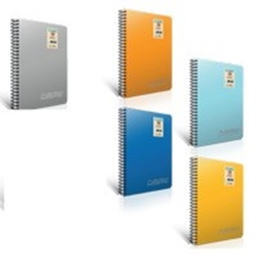 GIPTA CHROMO PP KAP Defter A5-80 Yaprak KARELİ SPİRALLİ