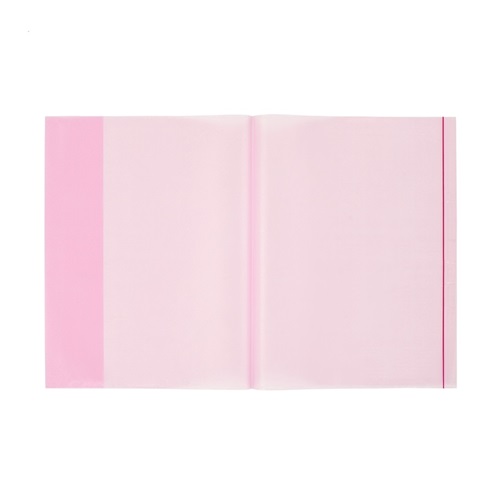 Bigpoint Kitap Kabı (Pembe)