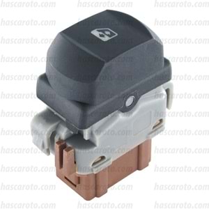 RENAULT MEGANE II / CLİO II ( 2004- ) ( SAĞ ) ( 6 FİŞ ) ( KAHVERENG