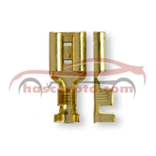 DİŞİ FİŞ ( NORMAL - TIRNAKLI ) ( ADEDİ )