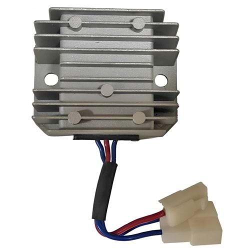 ( 06V ) LOMBARDINI / PIRPIR / ÇAPA, ÇİM BİÇME MAKİNASI / BAHÇE MAKİNA