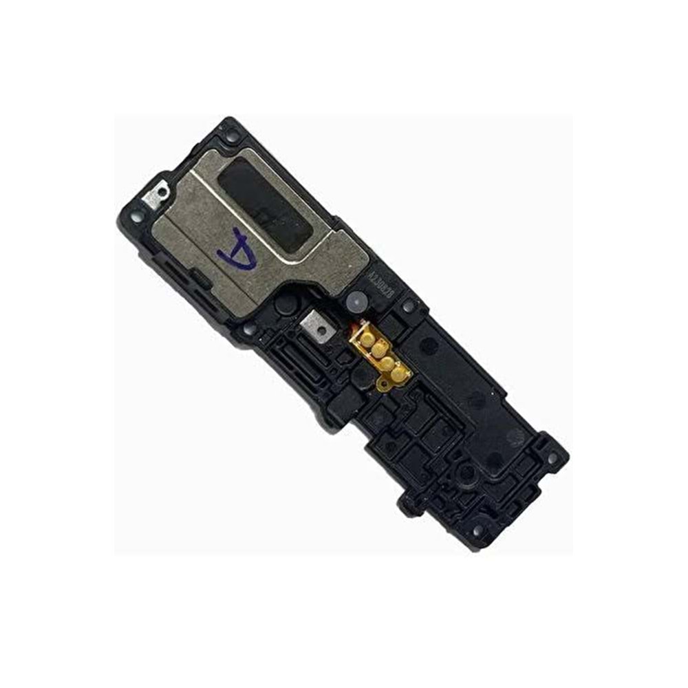 Samsung S24 Buzzer