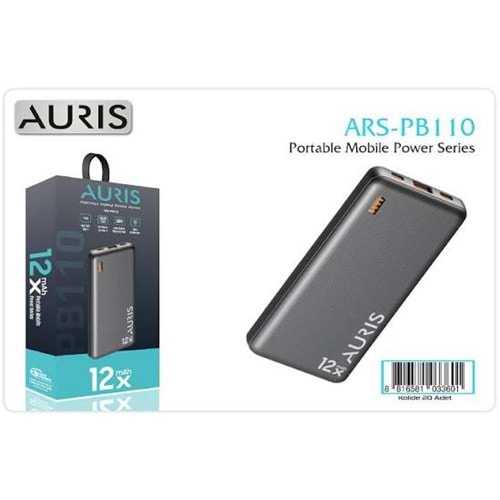 Auris PB110 Fast 12.000Mah Powerbank