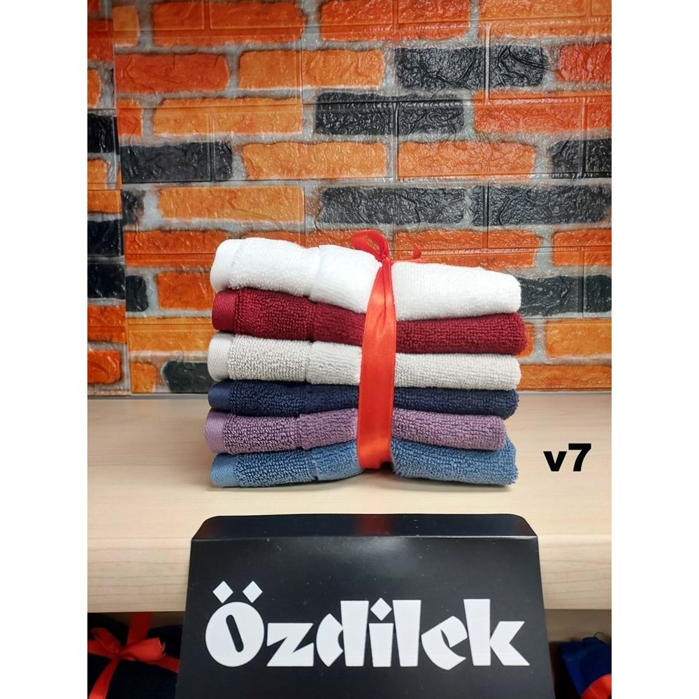 Özdilek Svv Border -6 LI- Kalın & Yumuşak Mutfak Havlusu (33x33) - v7